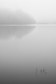 Quiet