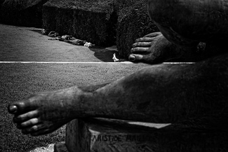 Foot