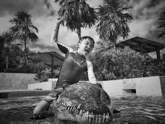 Conquering the Alligator