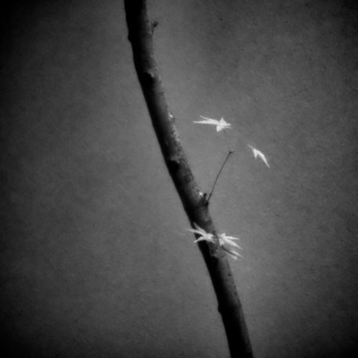 In Autumn