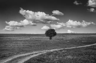Waypoint