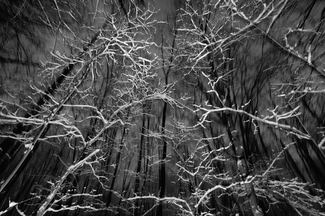 In The Gloaming