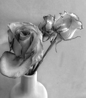 Three Roses