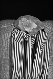 Untitled (3)