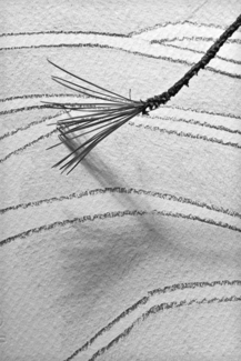 Untitled (4)