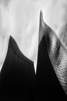 The Fountainhead No. 20