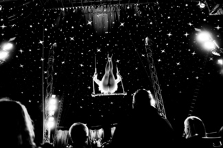 Circus (2)