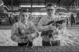 Brothers enter Chickens