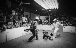 Fight Night