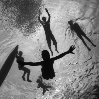 Freedive