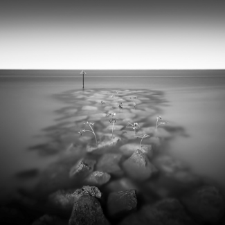 Intertidal