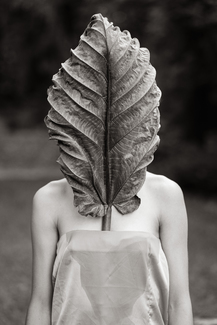 We are just nature