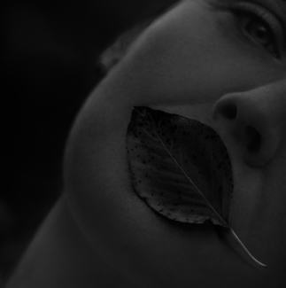 Sealed Lips