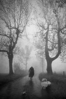lost childhood II