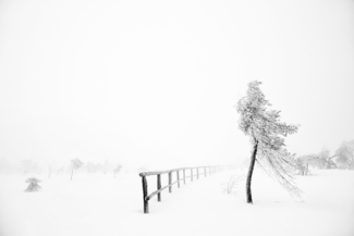 Winter IV