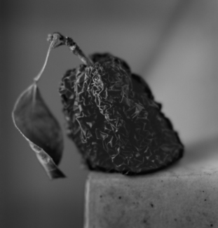 Dried Apple
