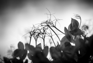 Turbulence I