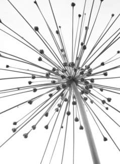 Network