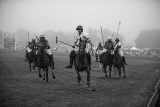 Polo Match