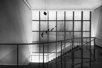 Moma 13