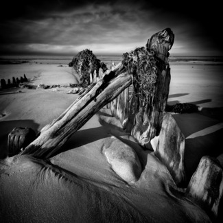 Leviathan III