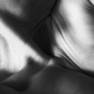 Untitled 10050913