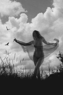 Windswept