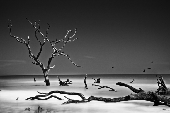 Boneyard Beach