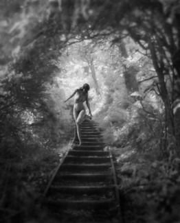Ascent