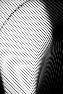 Oculus Detail