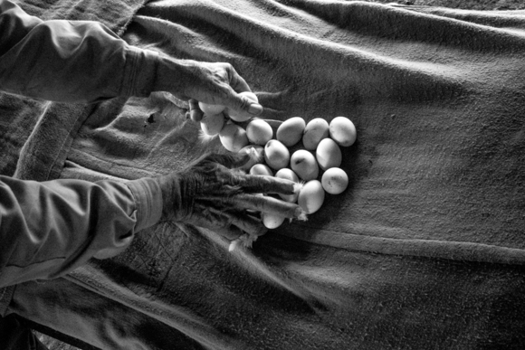 Eggs