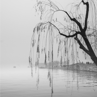 Somewhere in time
