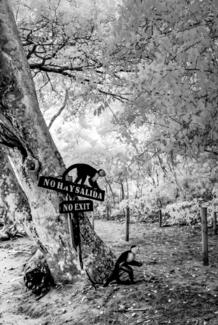 No exit