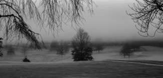 Quiet Fog