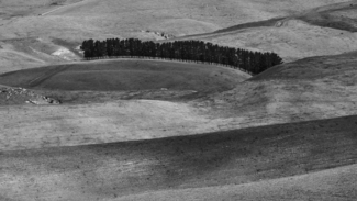 Pastoral