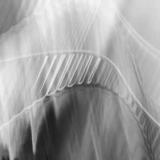 Woven Light