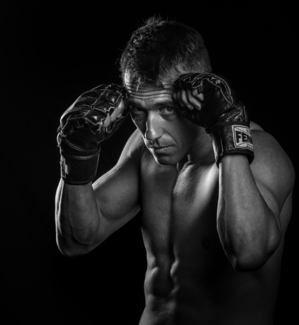 The Boxer