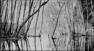 silence