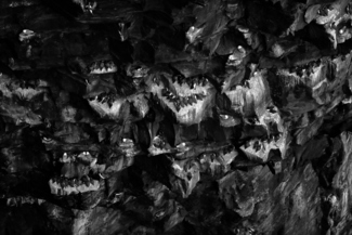Tenants