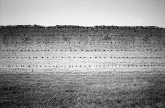 Walls in Time