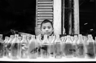 Boy Sells Fish in a Bottle