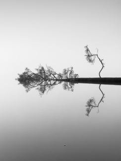 Reflections on water