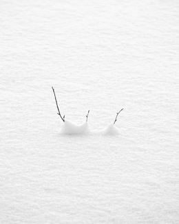 snow on the lake