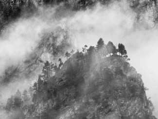 Misty Wilderness