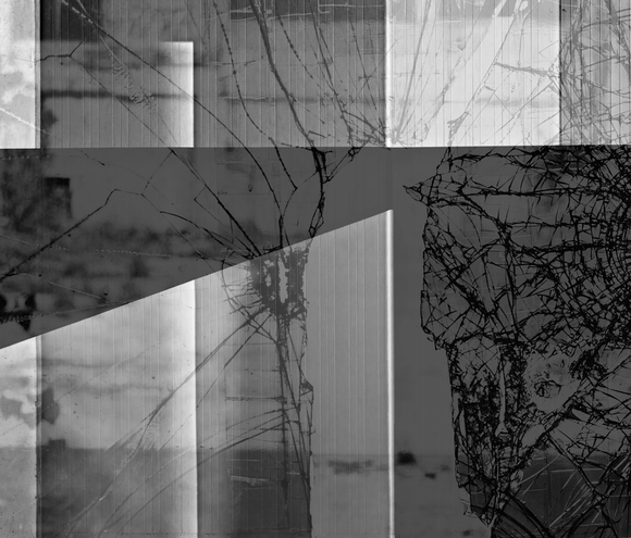 Order and disorder
