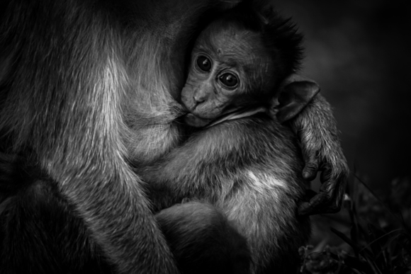 Love, Care & Protection of Mother
