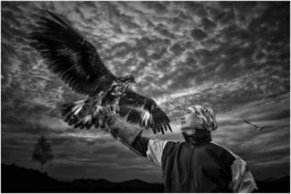 lionel eagle