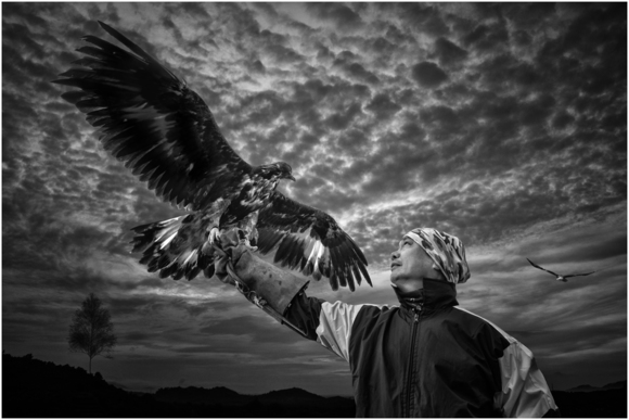 lionel eagle