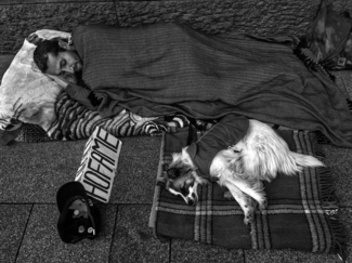 man and dog
