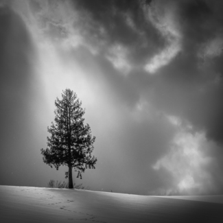 Light from the sky
